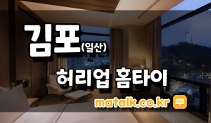 허리업홈타이